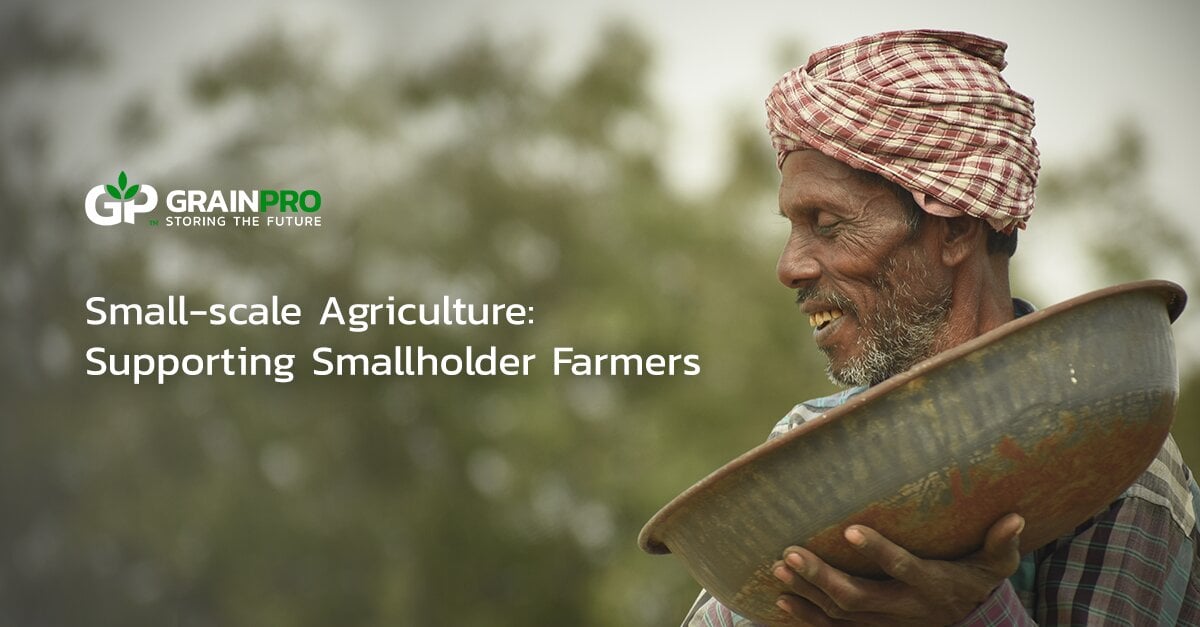 small-scale-agriculture-supporting-smallholder-farmers